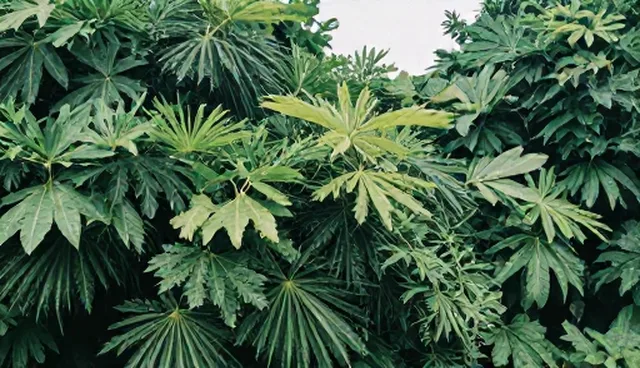 仓储管理中运输管理对成本的影响原因分析